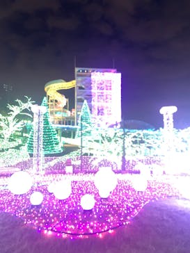 よみうりランド 遊園地に投稿された画像（2019/11/21）