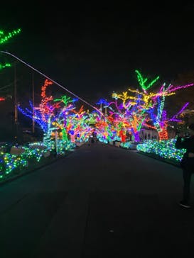 よみうりランド 遊園地に投稿された画像（2019/11/21）