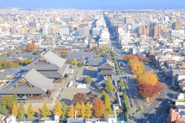 ニデック京都タワーに投稿された画像（2019/11/21）