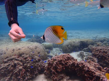 ダイビングショップ Sea Free（シーフリー）に投稿された画像（2019/11/22）