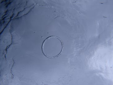 ダイビングショップ Sea Free（シーフリー）に投稿された画像（2019/11/22）