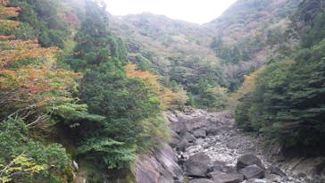 屋久島ガイドクラブに投稿された画像（2019/11/23）