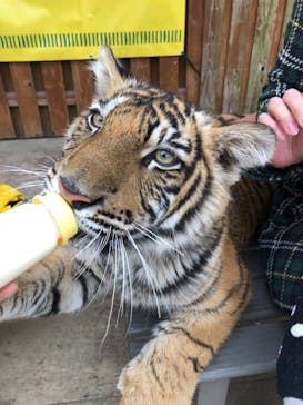 しろとり動物園に投稿された画像（2019/11/23）