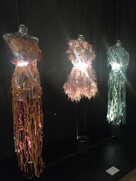 森美術館に投稿された画像（2019/11/24）