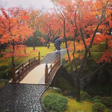 箱根美術館に投稿された画像（2019/11/24）