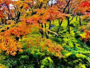 箱根美術館に投稿された画像（2019/11/24）