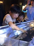 伊勢夫婦岩ふれあい水族館シーパラダイス（伊勢シーパラダイス）に投稿された画像（2019/11/24）