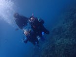 ダイビングショップ Sea Free（シーフリー）に投稿された画像（2019/11/24）