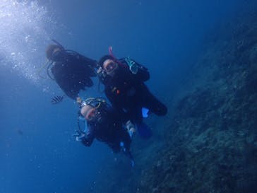 ダイビングショップ Sea Free（シーフリー）に投稿された画像（2019/11/24）