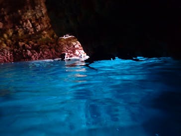 ダイビングショップ Sea Free（シーフリー）に投稿された画像（2019/11/24）