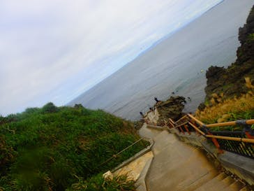 ダイビングショップ Sea Free（シーフリー）に投稿された画像（2019/11/24）