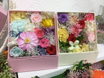 ずこうしつ〜sugamo〜に投稿された画像（2019/11/24）