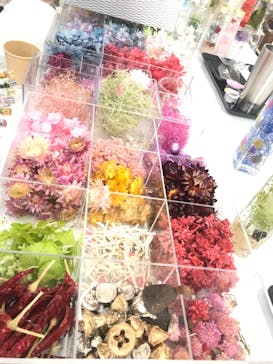 ずこうしつ〜sugamo〜に投稿された画像（2019/11/24）