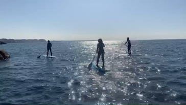 TOMO's スタンドアップパドルボーディングスクールに投稿された画像（2019/11/24）