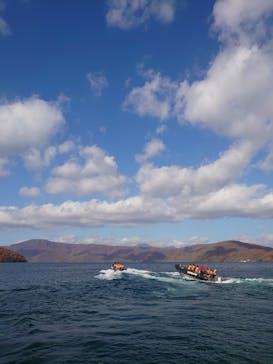 グリランド株式会社に投稿された画像（2019/11/24）