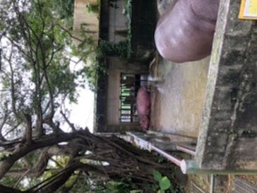 沖縄こどもの国に投稿された画像（2019/11/24）