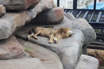 沖縄こどもの国に投稿された画像（2019/11/24）