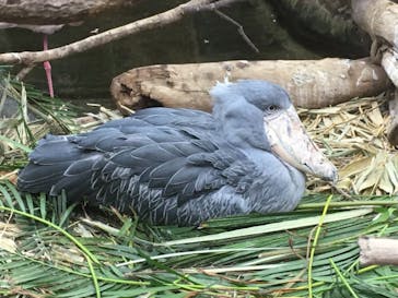 那須どうぶつ王国に投稿された画像（2019/11/25）