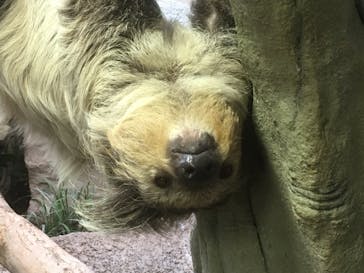 那須どうぶつ王国に投稿された画像（2019/11/25）