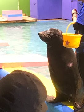 ゼロ距離水族館 伊勢シーパラダイスに投稿された画像（2019/11/25）