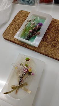 ずこうしつ〜sugamo〜に投稿された画像（2019/11/24）