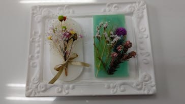 ずこうしつ〜sugamo〜に投稿された画像（2019/11/24）