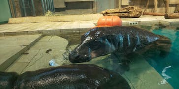 NIFREL（ニフレル）に投稿された画像（2019/11/25）