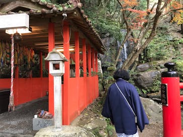 アソビュー株式会社　150881に投稿された画像（2019/11/26）