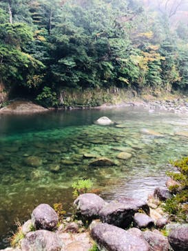 屋久島ガイドクラブに投稿された画像（2019/11/18）