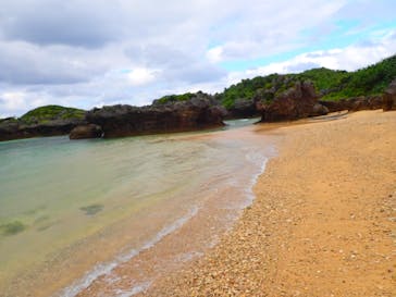 ダイビングショップ Sea Free（シーフリー）に投稿された画像（2019/11/28）