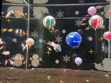 大分マリーンパレス水族館 「うみたまご」に投稿された画像（2019/11/29）