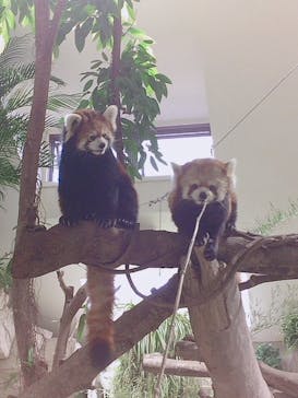 那須どうぶつ王国に投稿された画像（2019/11/30）