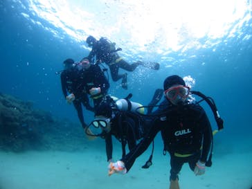 ドロップイン 沖縄に投稿された画像（2019/11/30）