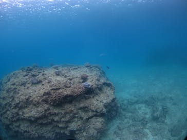 ドロップイン 沖縄に投稿された画像（2019/11/30）