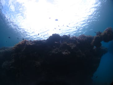 ドロップイン 沖縄に投稿された画像（2019/11/30）