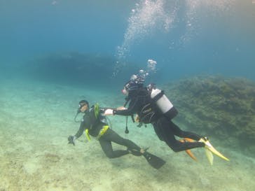 ドロップイン 沖縄に投稿された画像（2019/11/30）