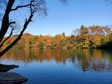 カヌーリゾートたまよどに投稿された画像（2019/12/2）