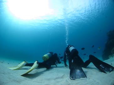 ドロップイン 沖縄に投稿された画像（2019/12/10）