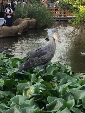 神戸どうぶつ王国に投稿された画像（2019/12/10）