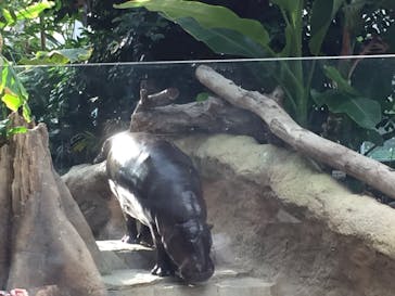 神戸どうぶつ王国に投稿された画像（2019/12/10）