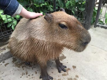 神戸どうぶつ王国に投稿された画像（2019/12/10）