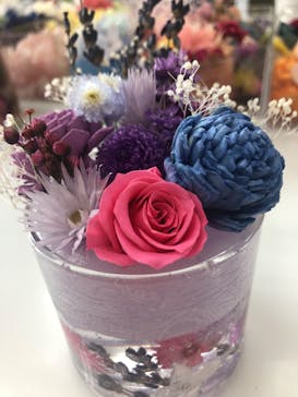 ずこうしつ〜sugamo〜に投稿された画像（2019/12/11）