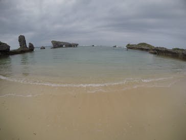 武藤潜水に投稿された画像（2019/12/13）