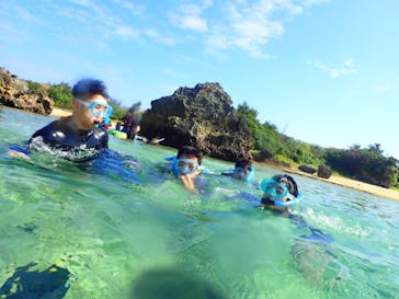 ダイビングショップ Sea Free（シーフリー）に投稿された画像（2019/12/13）