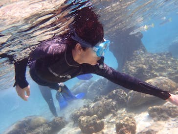 ダイビングショップ Sea Free（シーフリー）に投稿された画像（2019/12/13）