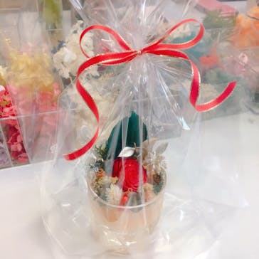 ずこうしつ〜sugamo〜に投稿された画像（2019/12/14）