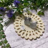 銀のイルカに投稿された画像（2019/12/16）