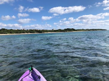 CHOROに投稿された画像（2019/12/16）