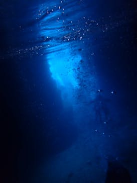 ダイビングショップ Sea Free（シーフリー）に投稿された画像（2019/12/17）