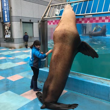 ゼロ距離水族館 伊勢シーパラダイスに投稿された画像（2019/12/17）